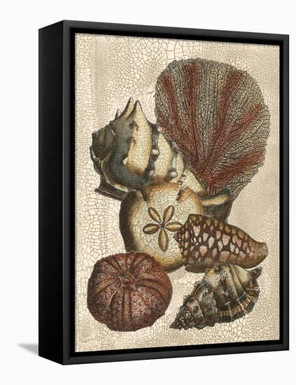 Shell and Coral on Cream II-Vision Studio-Framed Stretched Canvas
