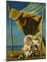 Shell and Drape; Coquillage Et Drape, C.1930 (Oil on Canvas)-Pierre Roy-Mounted Giclee Print