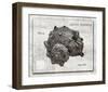 Shell: Angariidae, Sea Snails-Christine Zalewski-Framed Art Print