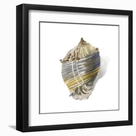 Shell Ashore-Aimee Wilson-Framed Art Print