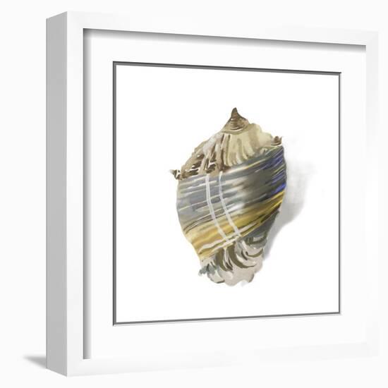 Shell Ashore-Aimee Wilson-Framed Art Print