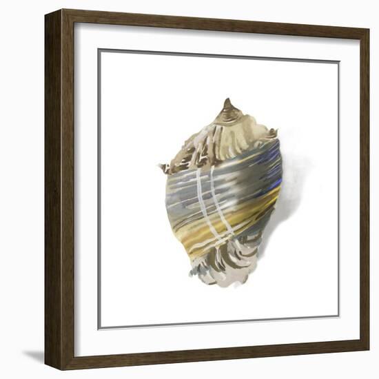 Shell Ashore-Aimee Wilson-Framed Art Print