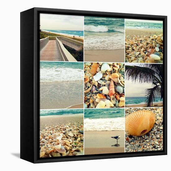 Shell Beach (9 Patch)-Lisa Hill Saghini-Framed Stretched Canvas