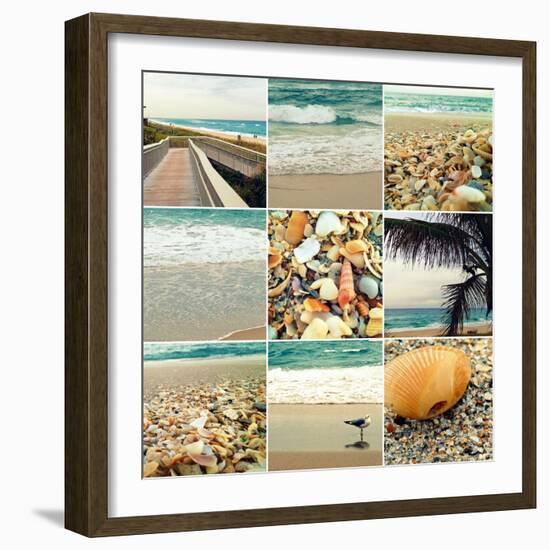 Shell Beach (9 Patch)-Lisa Hill Saghini-Framed Photographic Print