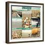 Shell Beach (9 Patch)-Lisa Hill Saghini-Framed Photographic Print