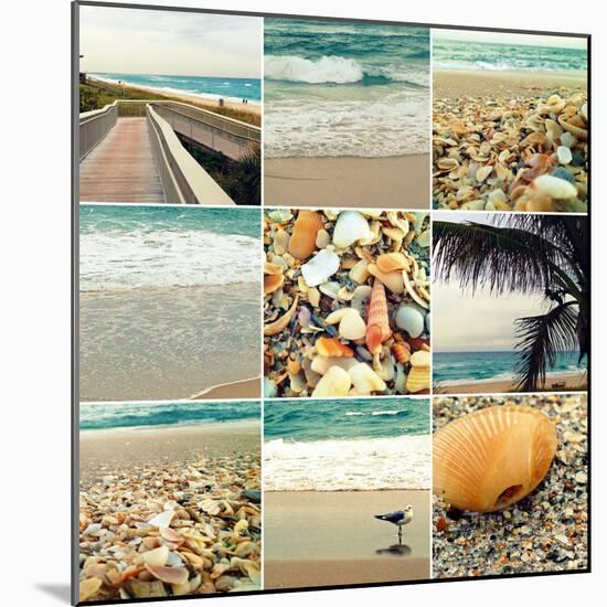 Shell Beach (9 Patch)-Lisa Hill Saghini-Mounted Photographic Print