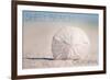 Shell Beach, California - Sand Dollar and Beach-Lantern Press-Framed Art Print