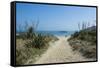 Shell Beach, Herm, Channel Islands, United Kingdom-Michael Runkel-Framed Stretched Canvas