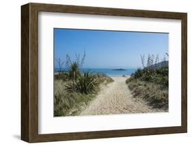 Shell Beach, Herm, Channel Islands, United Kingdom-Michael Runkel-Framed Photographic Print