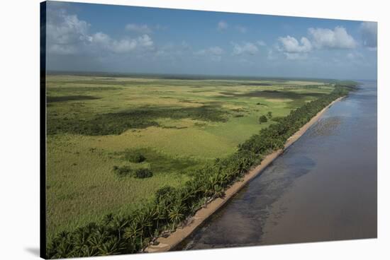 Shell Beach, North Guyana-Pete Oxford-Stretched Canvas