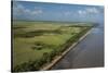 Shell Beach, North Guyana-Pete Oxford-Stretched Canvas