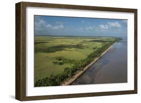 Shell Beach, North Guyana-Pete Oxford-Framed Photographic Print