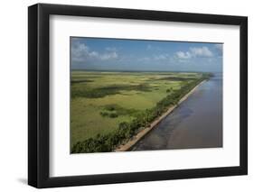 Shell Beach, North Guyana-Pete Oxford-Framed Photographic Print