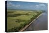 Shell Beach, North Guyana-Pete Oxford-Stretched Canvas