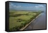 Shell Beach, North Guyana-Pete Oxford-Framed Stretched Canvas