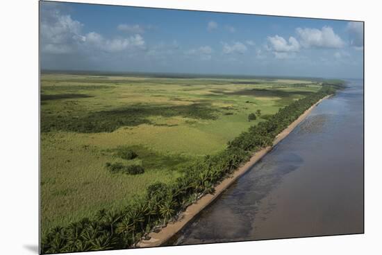 Shell Beach, North Guyana-Pete Oxford-Mounted Premium Photographic Print