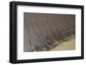 Shell Beach, North Guyana-Pete Oxford-Framed Photographic Print