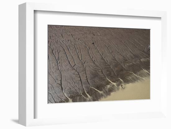 Shell Beach, North Guyana-Pete Oxford-Framed Photographic Print