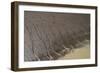 Shell Beach, North Guyana-Pete Oxford-Framed Photographic Print