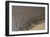 Shell Beach, North Guyana-Pete Oxford-Framed Photographic Print