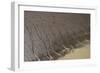 Shell Beach, North Guyana-Pete Oxford-Framed Photographic Print