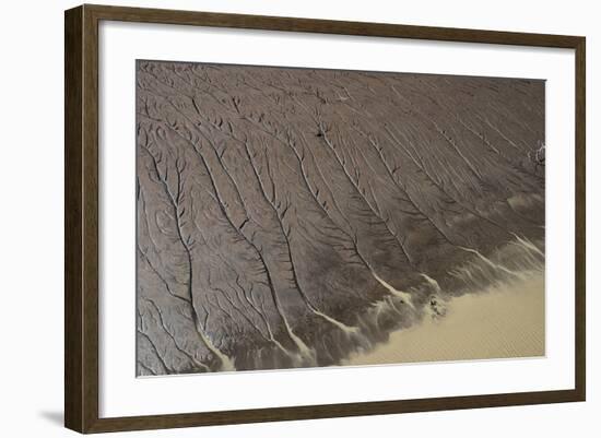 Shell Beach, North Guyana-Pete Oxford-Framed Photographic Print