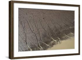 Shell Beach, North Guyana-Pete Oxford-Framed Photographic Print