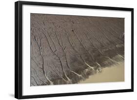 Shell Beach, North Guyana-Pete Oxford-Framed Photographic Print