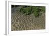 Shell Beach, North Guyana-Pete Oxford-Framed Photographic Print