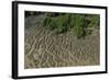 Shell Beach, North Guyana-Pete Oxford-Framed Photographic Print