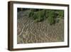 Shell Beach, North Guyana-Pete Oxford-Framed Photographic Print