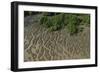 Shell Beach, North Guyana-Pete Oxford-Framed Photographic Print