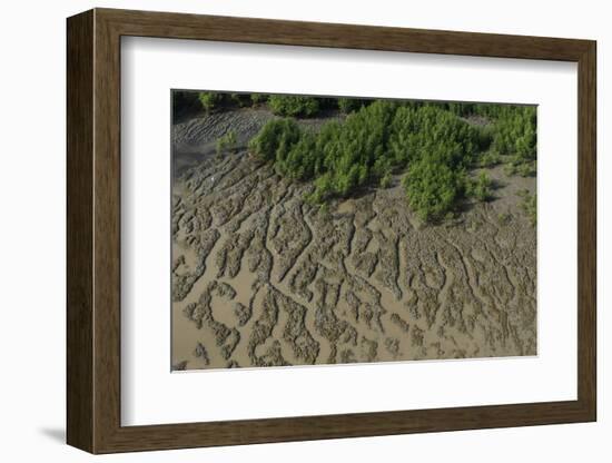 Shell Beach, North Guyana-Pete Oxford-Framed Photographic Print