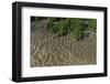 Shell Beach, North Guyana-Pete Oxford-Framed Photographic Print