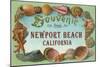 Shell Border Souvenir from Newport Beach, California-null-Mounted Art Print