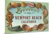 Shell Border Souvenir from Newport Beach, California-null-Mounted Premium Giclee Print
