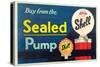 Shell-Buy From the Sealed Pump-null-Stretched Canvas