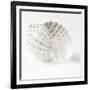 Shell BW 01-Tom Quartermaine-Framed Giclee Print