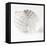 Shell BW 01-Tom Quartermaine-Framed Stretched Canvas