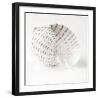 Shell BW 01-Tom Quartermaine-Framed Giclee Print