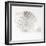 Shell BW 01-Tom Quartermaine-Framed Giclee Print