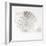 Shell BW 01-Tom Quartermaine-Framed Giclee Print