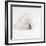 Shell BW 02-Tom Quartermaine-Framed Giclee Print