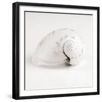 Shell BW 02-Tom Quartermaine-Framed Giclee Print