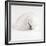 Shell BW 02-Tom Quartermaine-Framed Giclee Print