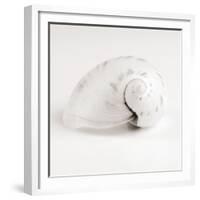 Shell BW 02-Tom Quartermaine-Framed Giclee Print