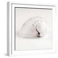 Shell BW 02-Tom Quartermaine-Framed Giclee Print