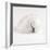 Shell BW 02-Tom Quartermaine-Framed Giclee Print