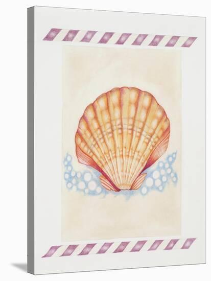 Shell Cardita-Deborah Kopka-Stretched Canvas