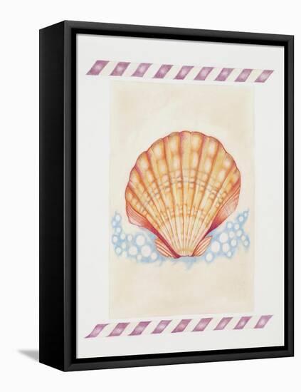 Shell Cardita-Deborah Kopka-Framed Stretched Canvas